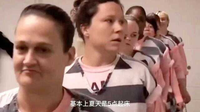 犯人在监狱里都干什么?