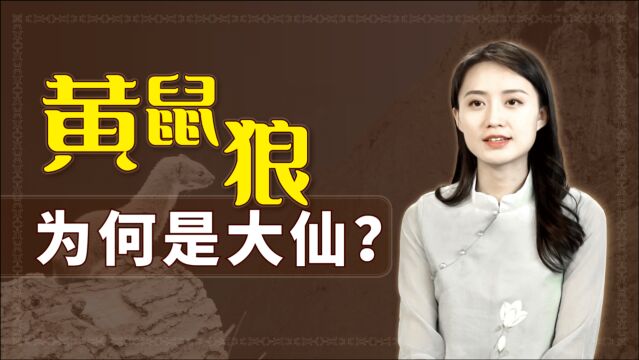 民间不敢招惹的“黄大仙”,到底有啥来头?你见过黄鼠狼吗?