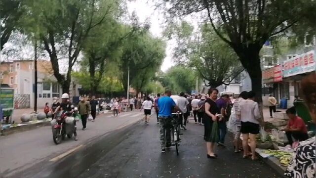 吉林省通化市早市儿,这里的菜又好又便宜!带大家看看都有啥?