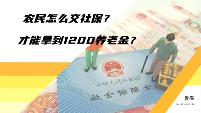 农民怎么交社保?每年交多少养老保险,退休后能拿到1200元养老金?