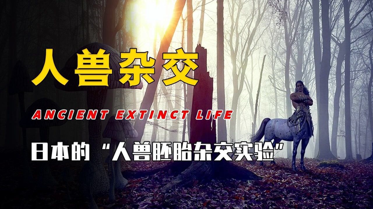 人兽真的能杂交吗？“人兽胚胎杂交实验”究竟是创新还是灾难？_高清