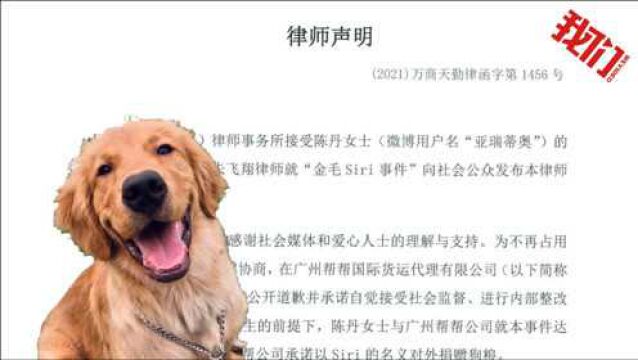 金毛犬Siri托运致死续:涉事公司赔偿3.5万元达成和解 门店已关闭