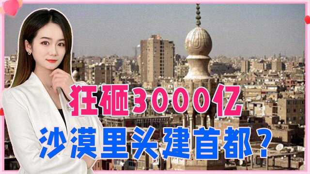 一掷3000亿,沙漠里建城市?美日德争相竞标,东方靠实力拿下