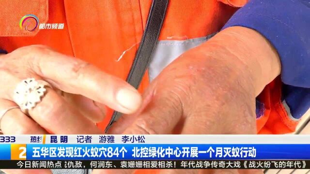 五华区发现红火蚁穴84个 北控绿化中心展开一个月灭蚁行动