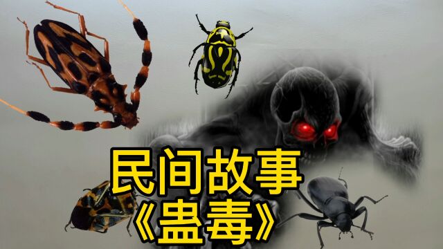 民间故事《蛊毒》,爱情凄美,欢迎大家收听