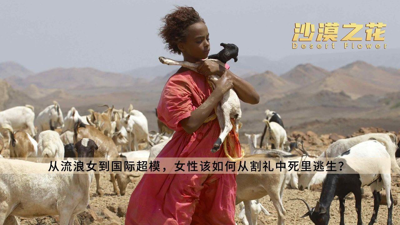 《沙漠之花》：揭秘最残酷的女性“割礼”_高清