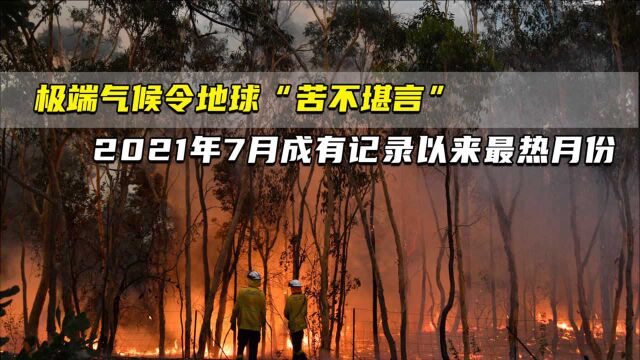 极端气候令地球“苦不堪言” 2021年7月成有记录以来最热月份