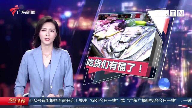 广东揭阳:吃货们有福了!开渔后市场海产丰富 价格又如何?