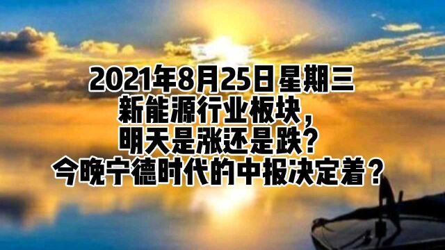 新能源行业板块,明天是涨还是跌?今晚宁德时代的中报决定着?