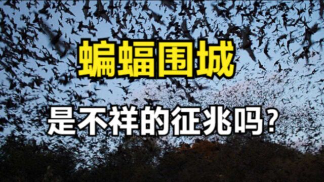 四川大量蝙蝠压城,是什么原因引起的?它预示着什么?