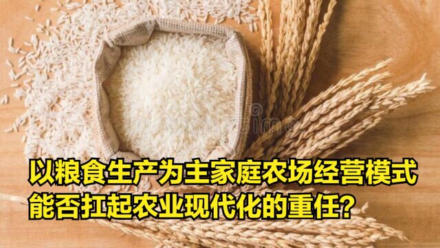 以粮食生产为主,家庭农场经营模式,能否扛起农业现代化的重任?