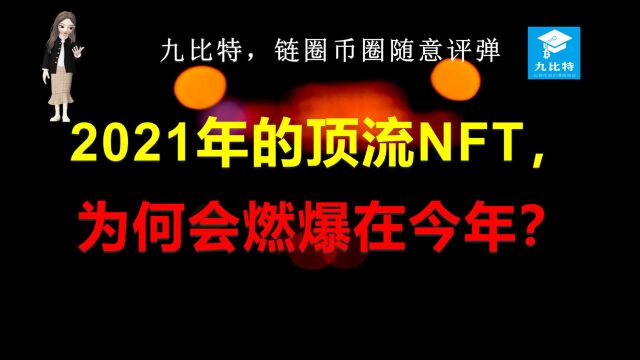 九比特,链圈币圈随意评弹 第170集 2021年的顶流NFT,为何会燃爆在今年?