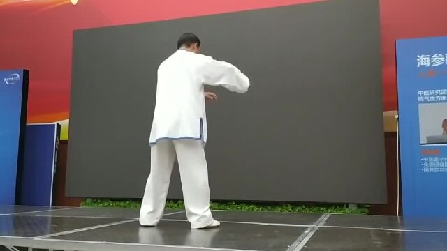 24式心意混元太极拳(杨学峰老师背面演练)