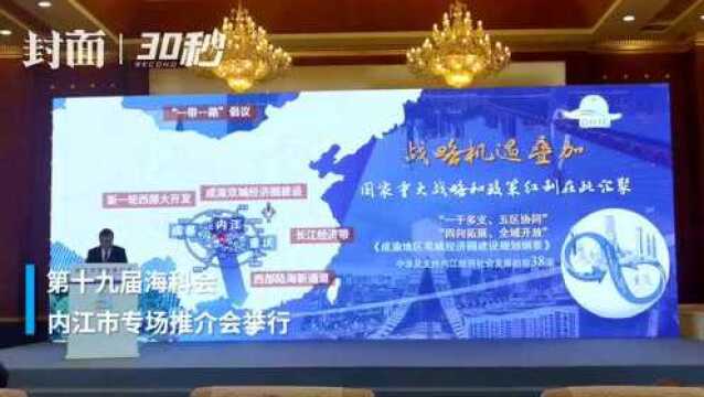 借力海科会平台 四川内江签下23个项目 投资金额112.71亿元