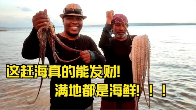 真正的赶海:三步一头海参,章鱼满地爬!碾压各类赶海视频!