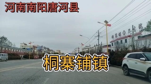 河南南阳唐河县,桐寨铺镇!