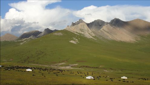 青藏高原藏族牧民四季游牧 夏季牧场天气渐凉 桑珠家日常生活