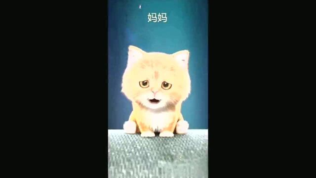 我是傻瓜吗?