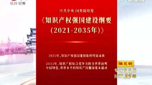 【中共中央国务院印发】《知识产权强国建设纲要(20212035年)》