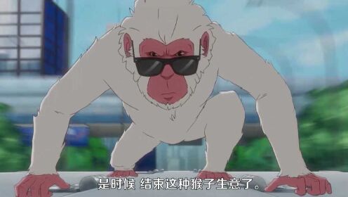 漫威全新动画《杀手猴》首曝预告，11月17日开播