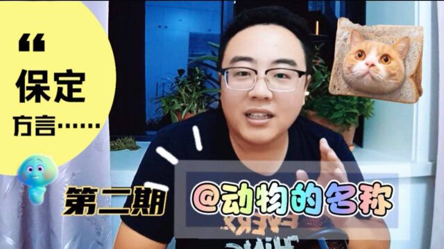 保定方言里动物“名字”汇总,与普通话大不相同,你知道几个?