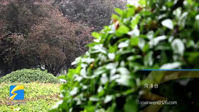 注意!菏泽定陶迎来大范围降雨 主要集中在24至26日