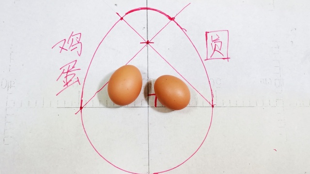 鸡蛋圆的画法公式图片