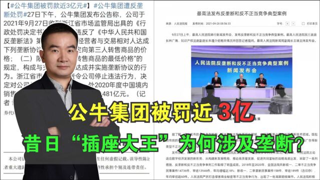 公牛集团被罚近3亿,昔日“插座大王”为何涉及垄断?