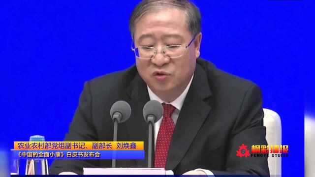 在《中国的全面小康》白皮书发布会上提出如何增加农民收入的四点方案