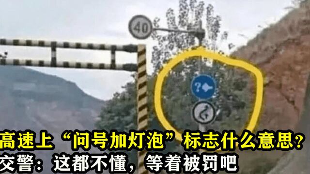 高速上“问号加灯泡”标志什么意思?交警:这都不懂,等着被罚吧