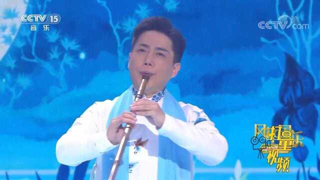 丁晓逵精彩演奏《禅心曲》,悠然旋律,让人心旷神怡