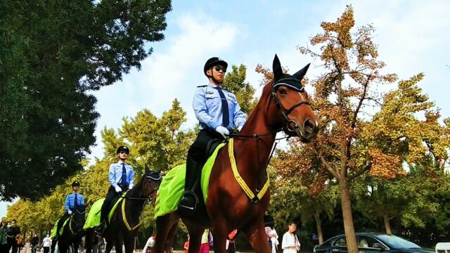 国庆日,大连人民广场骑警巡逻又见飒爽英姿女骑警,引游客围观