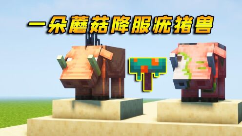 《MC创造嘉年华》我的世界:疣猪兽竟也能驯服,只需要一朵蘑菇就行!_高清1080P在线观看平台_腾讯视频