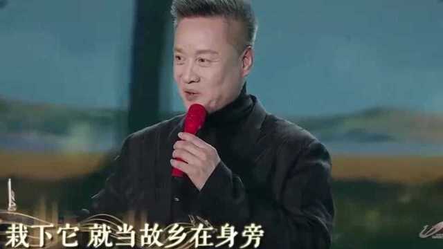 阎维文演唱经典《小白杨》,清澈嘹亮的歌声,致敬边疆战士! 