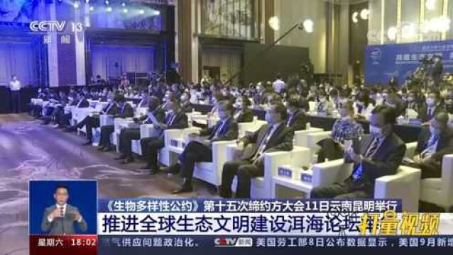 2021推进全球生态文明建设(洱海)论坛在大理举行