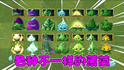 植物大战僵尸:各种不一样的薄荷,你都了解吗?