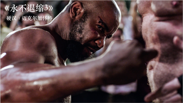 超燃格斗电影迈克尔加怀特自导自演永不退缩333集