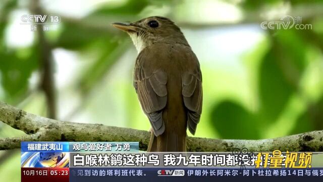 福建武夷山入选首批国家公园,多举措保护生物多样性