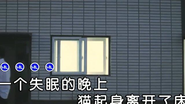 崔云飞屋顶的月光 红日蓝月KTV推介