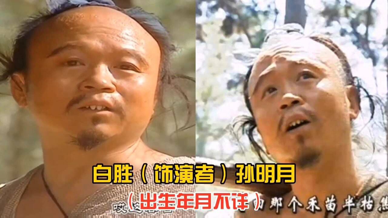 98版水浒传演员,矮脚虎王英和朱富已经去世,时迁孟耿成已老!_腾讯视频