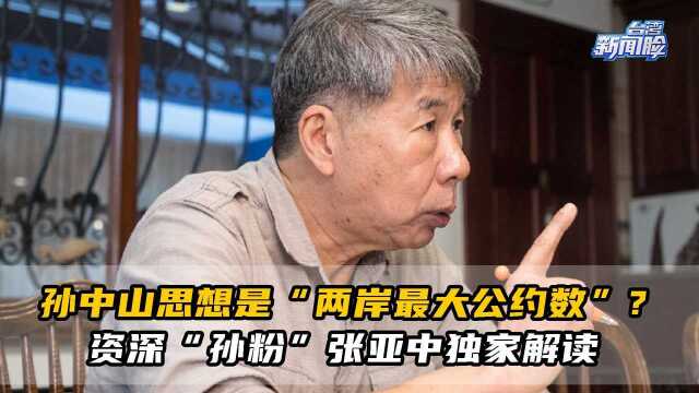 孙中山思想是“两岸最大公约数”?资深“孙粉”张亚中独家解读