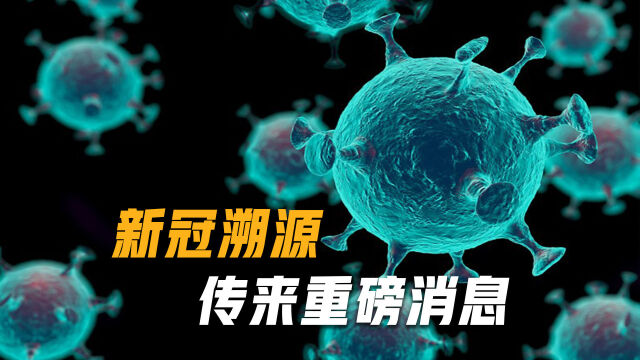 新冠溯源传来消息,联名向世卫请愿有结果了?这回出手的不是我们