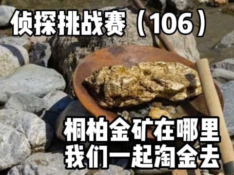 侦探挑战赛(106),桐柏金矿在哪里?我们一起淘金去#知识 #地理