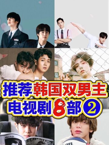 推荐韩国双男主电视剧8部 #双男主 #韩剧 #兄弟情