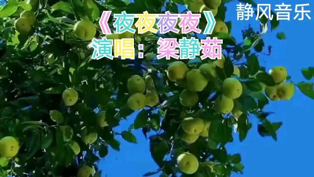 歌曲《夜夜夜夜》演唱:梁静茹