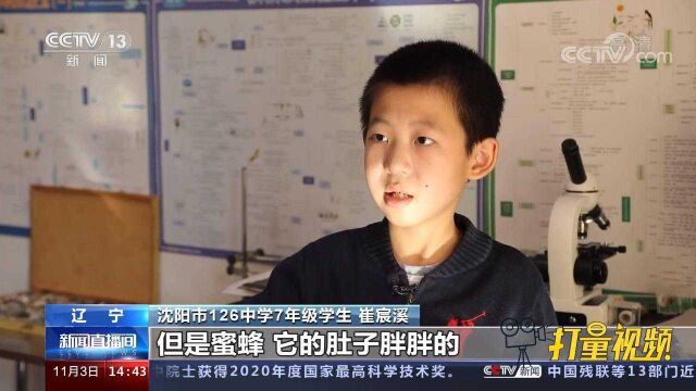 12岁“昆虫小达人”纠错英语教材,网友赞其“未来昆虫学家”