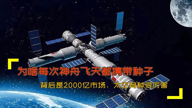 为啥每次神舟飞天都携带种子?背后是2000亿市场,太空育种很厉害