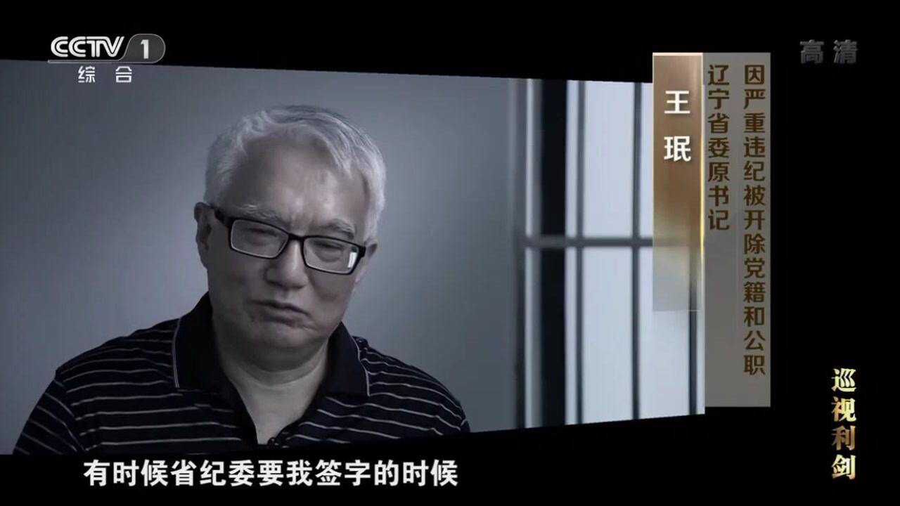落马省委书记王珉:我到辽宁的后期实际上是守摊子,就想不出事_高清1080P在线观看平台_腾讯视频