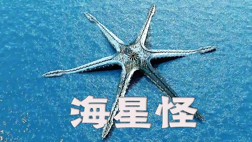 海面出现个大海星状怪物，受到人类攻击后，竟还会生大蛋