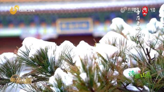 潍坊青州古城雪后银装素裹,白雪、青砖、红瓦,如人间仙境一般